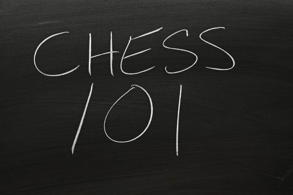 Beginner And Intermediate Chess Instruction In The USA Today